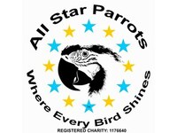 All Star Parrots Rescue And Rehoming