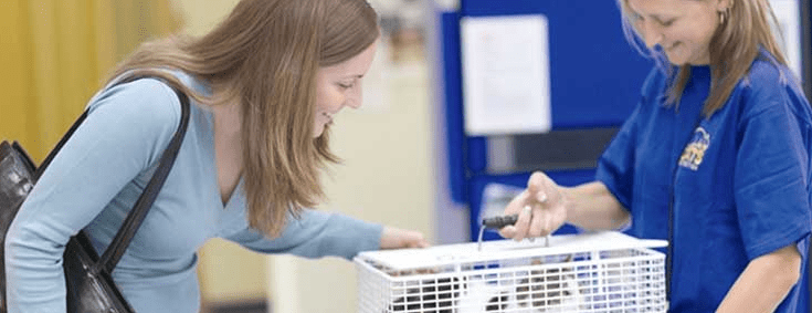 Cats Protection case study