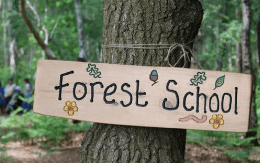 How FOREST SCHOOL FUND, Knaresborough worked with Give as you Live