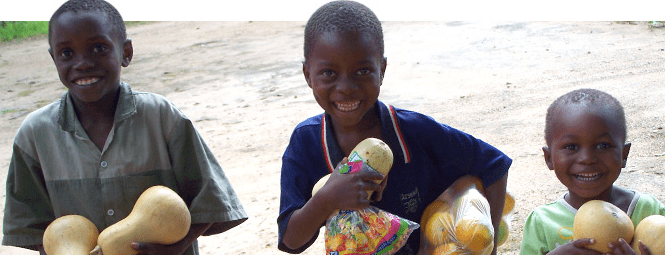Zimkids case study