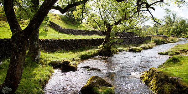 Environment case studies